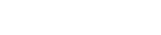 Ritzy Toys